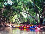 Wailua River Kayak tours